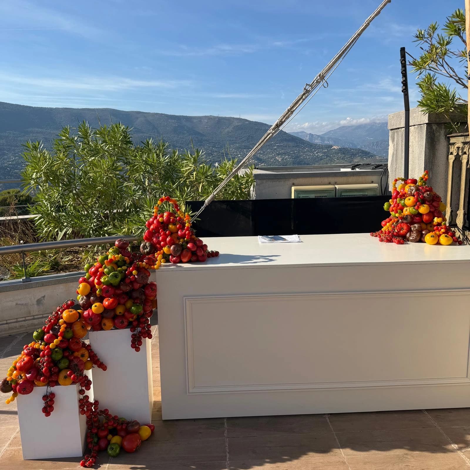 Hospitality — PAELORIA