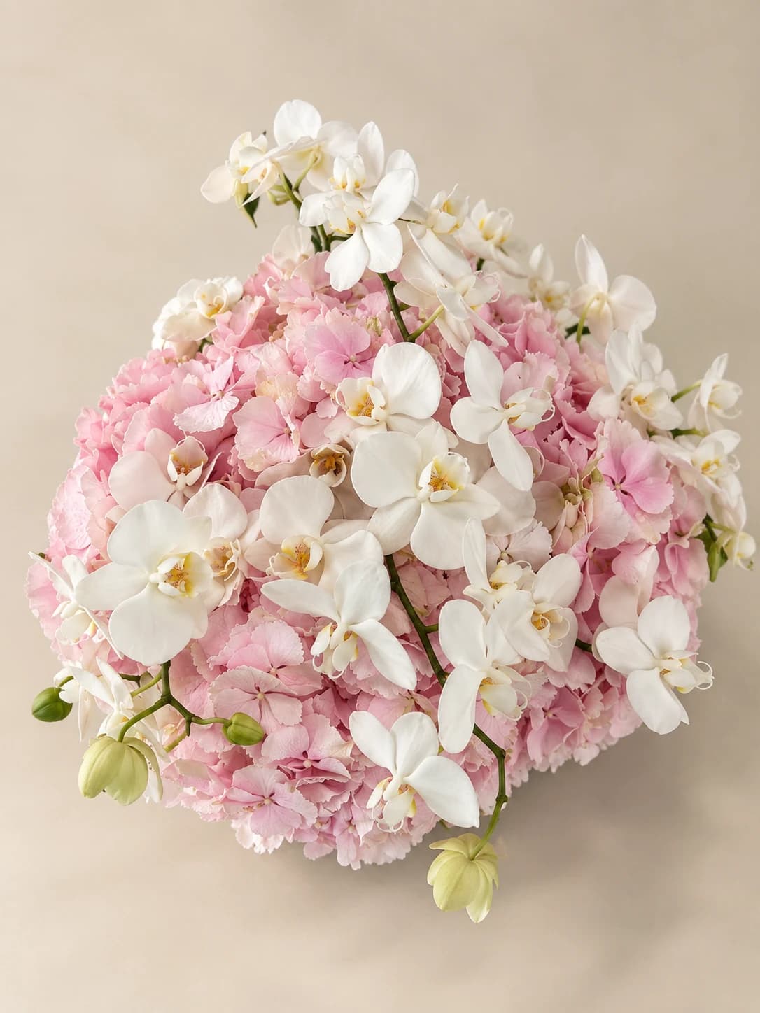 Yachts — composition florale PAELORIA